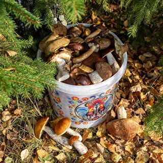 Wiadro spożywcze GWIOZDA - z pokrywką, 10 L – zdjęcie 10