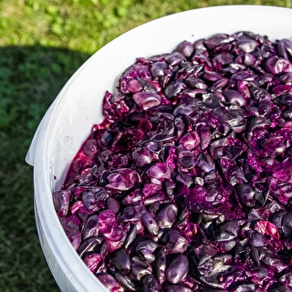 Pojemnik fermentacyjny  30 L z pokrywką – zdjęcie 12