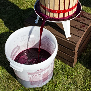 Drożdże winiarskie Burgund bez namnażania, 20 ml – zdjęcie 4