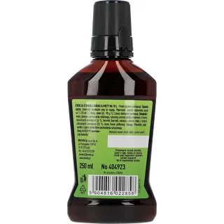 VLEYTO Mięta & Jabłko – esencja smakowa z naturalnymi aromatami, 250 ml – zdjęcie 2