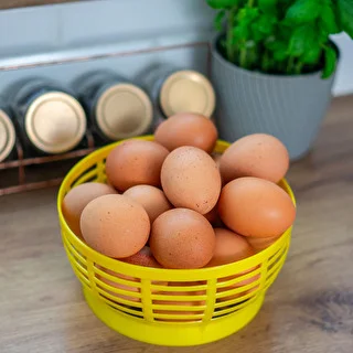 Koszyk plastikowy do Dam 5L, żółty – zdjęcie 8