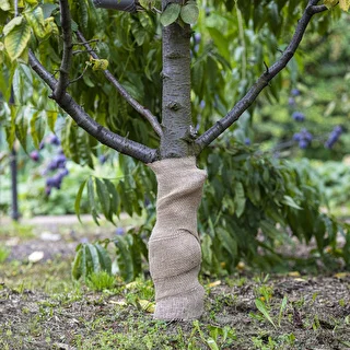 Taśma jutowa 10 cm/5 m – zdjęcie 5