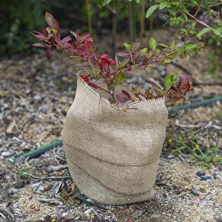 Taśma jutowa 10 cm/5 m – zdjęcie 6