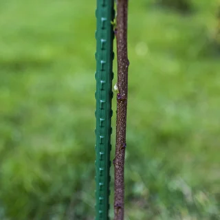 Tyczka stalowa powlekana PE 0,8m x 8mm – zdjęcie 3