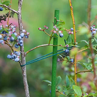 Tyczki ogrodowe Bioogród – stalowe powlekane, 1,5 m, fi 11 mm, 10 szt. – zdjęcie 4