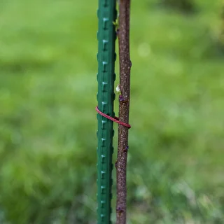 Tyczki ogrodowe Bioogród – stalowe powlekane, 1,2 m, fi 11 mm, 10 szt. – zdjęcie 5