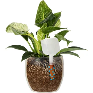 Nawadniacz do roślin - tabliczka biała z ceramiczną nóżką, 200 ml – zdjęcie 6