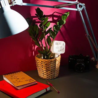 Nawadniacz do roślin - tabliczka biała z ceramiczną nóżką, 200 ml – zdjęcie 11