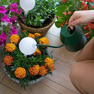 Kule nawadniające do roślin, białe półprzezroczyste z korkiem,  400ml, 4 szt. – zdjęcie 10
