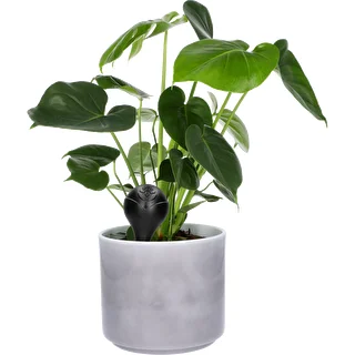 Kula nawadniająca do roślin, czarna matowa z ceramiczną nóżką, 400ml – zdjęcie 7