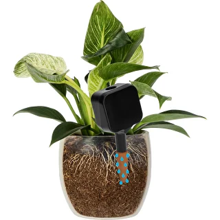 Nawadniacz do roślin – tabliczka czarna z ceramiczną nóżką, 200 ml – zdjęcie 6