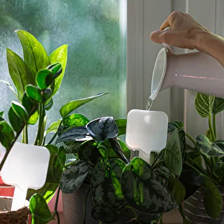 Nawadniacz do roślin - tabliczka biała z ceramiczną nóżką, 200 ml – zdjęcie 8