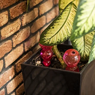 Kula nawadniająca potrójna (trzykomorowa), przezroczysta różowa, 600 ml – zdjęcie 8
