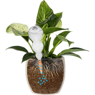 Kula nawadniająca potrójna (trzykomorowa), przezroczysta bezbarwna, z ceramiczną nóżką, 600 ml – zdjęcie 3