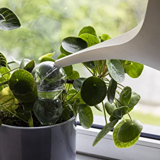 Kula nawadniająca potrójna (trzykomorowa), przezroczysta bezbarwna, z ceramiczną nóżką, 600 ml – zdjęcie 6