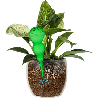 Kula nawadniająca potrójna (trzykomorowa), przezroczysta zielona, 600 ml – zdjęcie 3