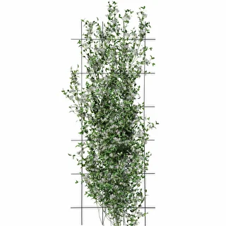 Podpora do roślin - krata (150cm x 60cm) 3 sztuki – zdjęcie 3