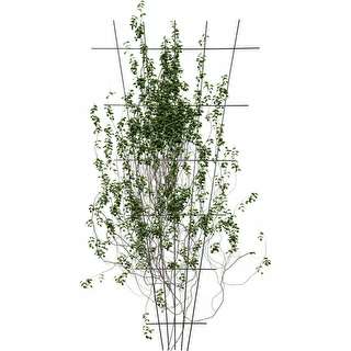 Podpora do roślin - krata (150cm x 75cm) 2 sztuki – zdjęcie 3