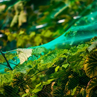 Siatka do ochrony przed ptakami, zielona, 2 m x 5m – zdjęcie 5