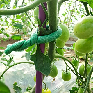 Drut ogrodniczy powlekany gąbką, zielony, 10 m, fi 10mm – zdjęcie 4