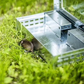 Pułapka na myszy metalowa - żywołapka – zdjęcie 10