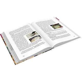 Książka "Szynkowar - Mistrz kulinarnych możliwości, Przepisy" (książka w j. polskim)" – zdjęcie 3