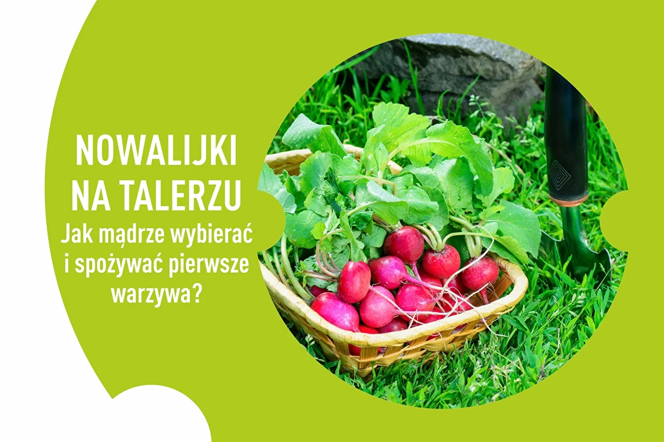 Nowalijki na talerzu – jak mądrze wybierać i spożywać pierwsze warzywa?