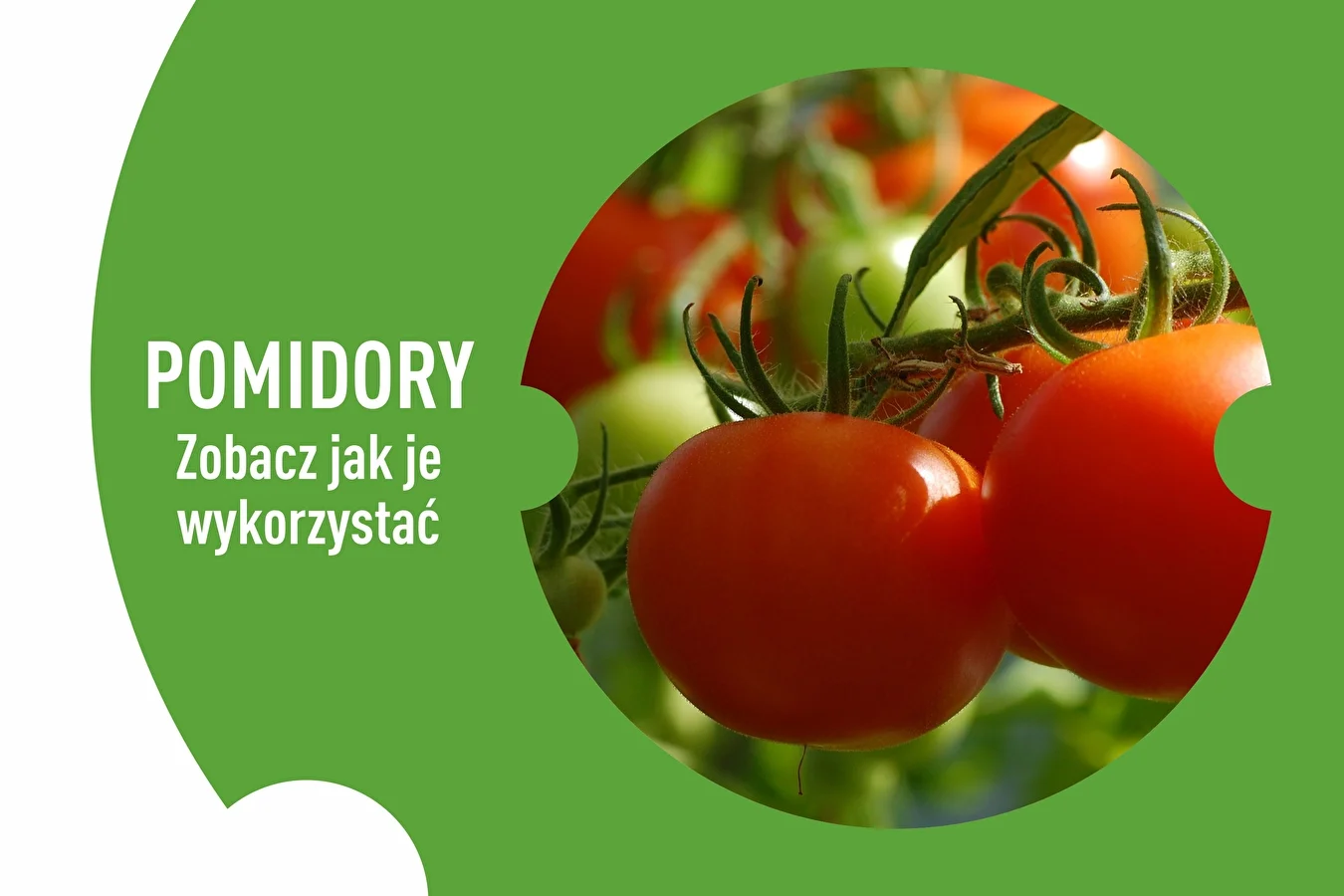 Przetwory z pomidorów