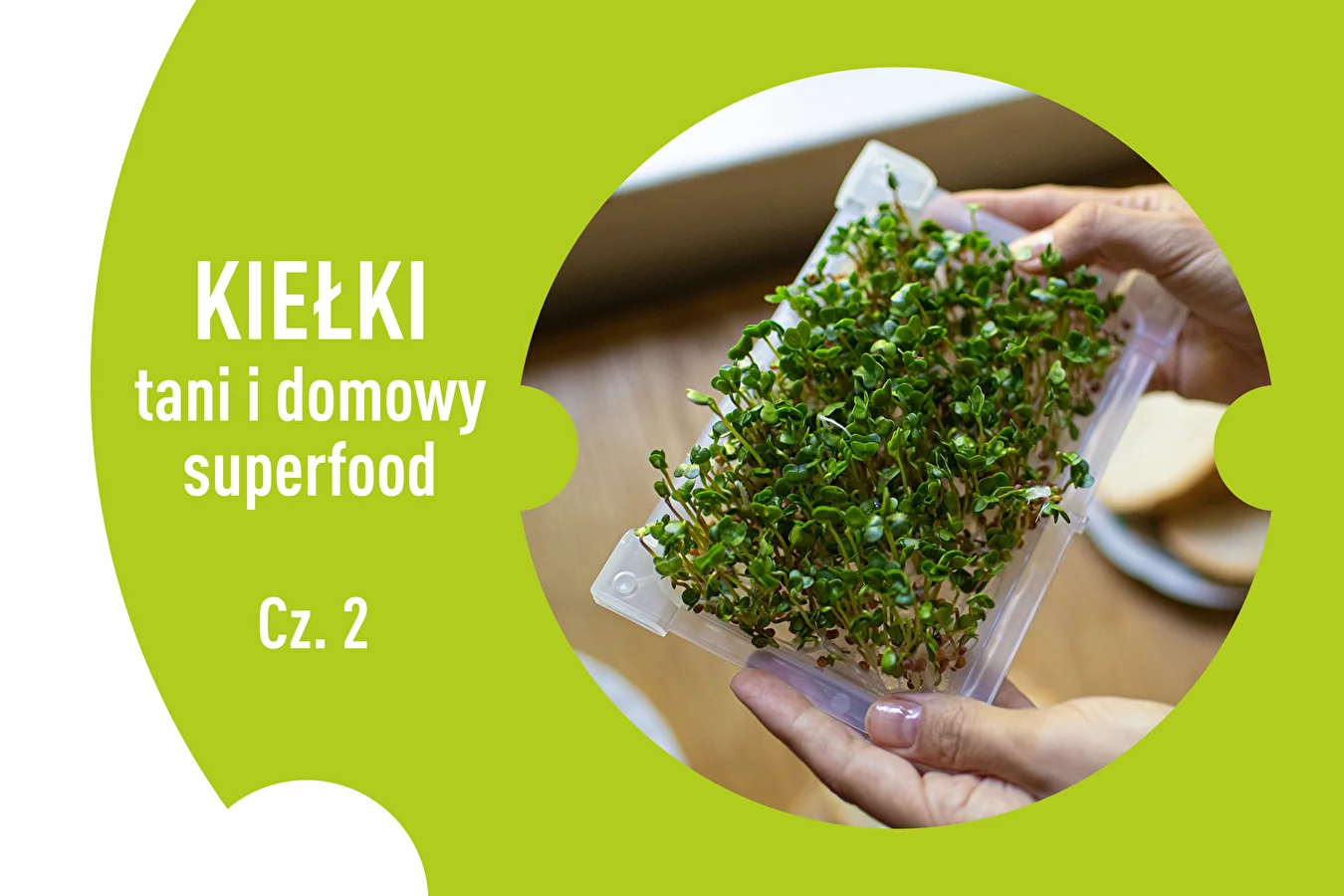 Kiełki – tani i domowy superfood! Cz. 2