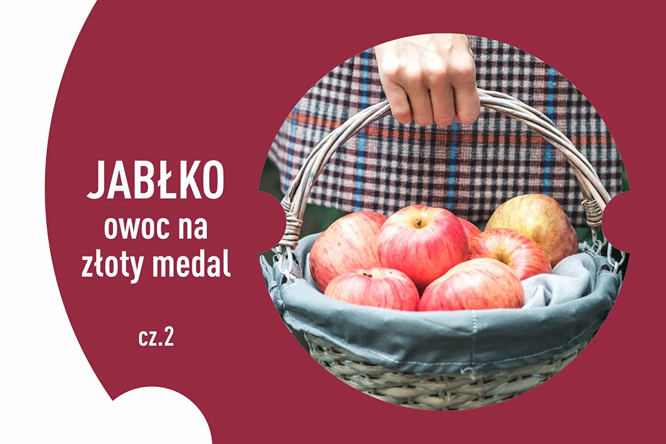 Jabłko - owoc na złoty medal! Cz.2
