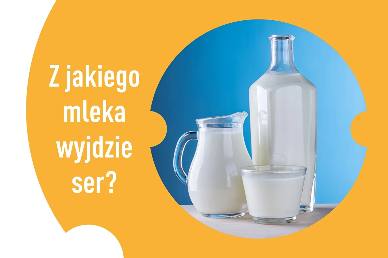 Z jakiego mleka wyjdzie ser?
