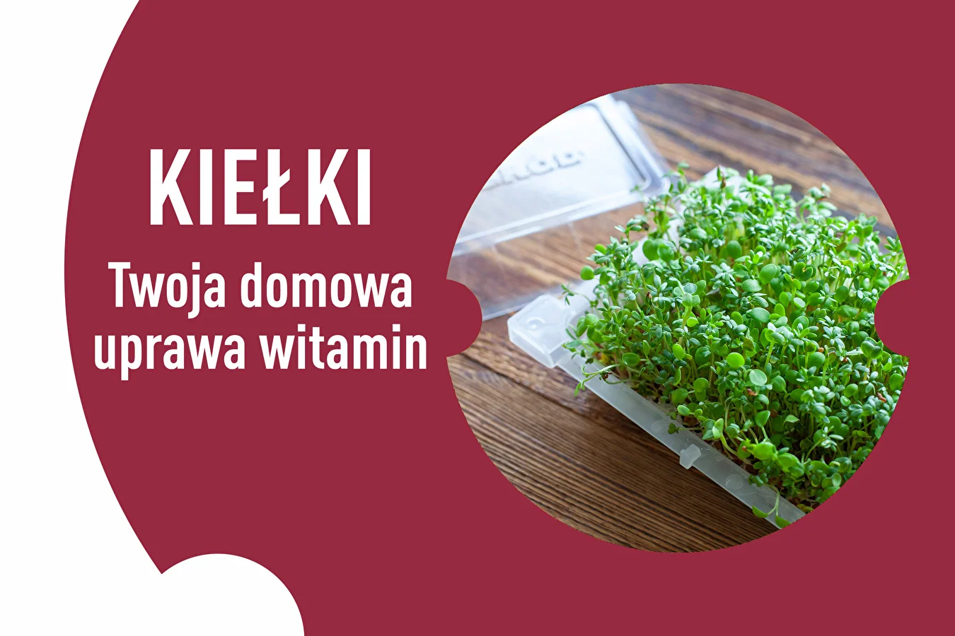 Kiełki - Twoja domowa uprawa witamin!