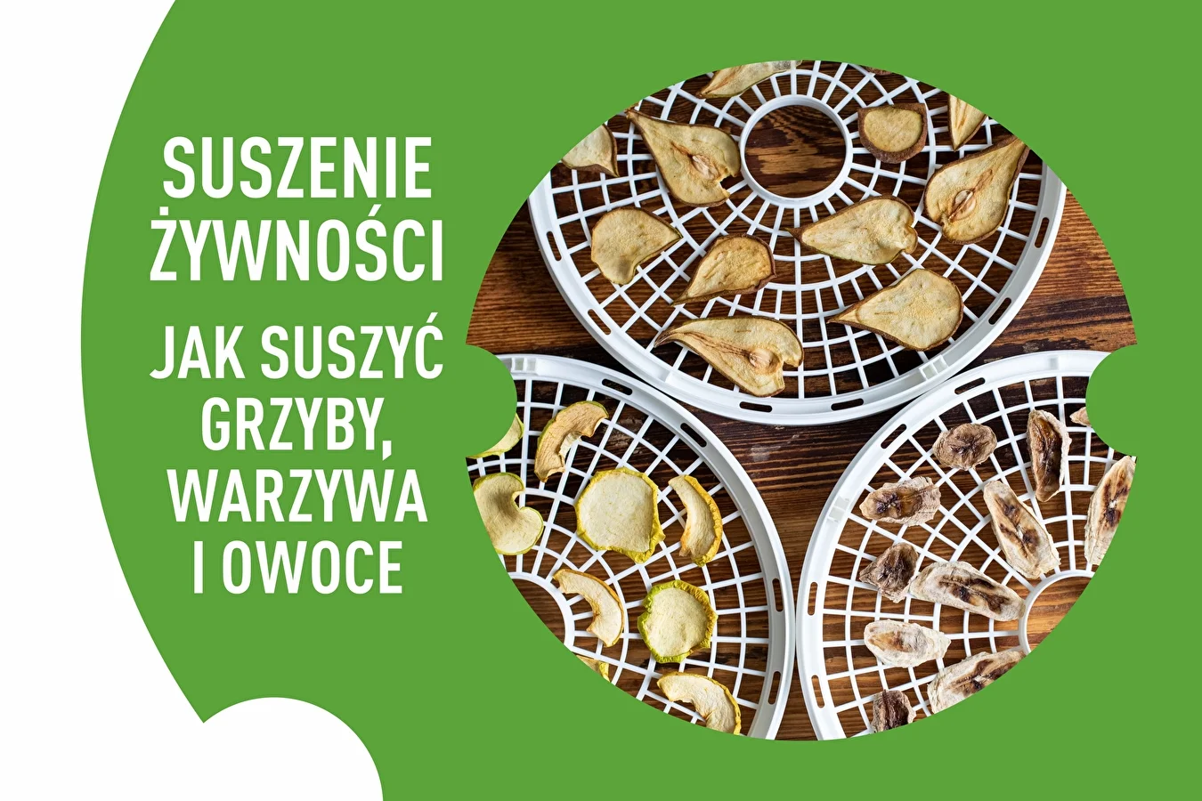 Jak suszyć żywność?