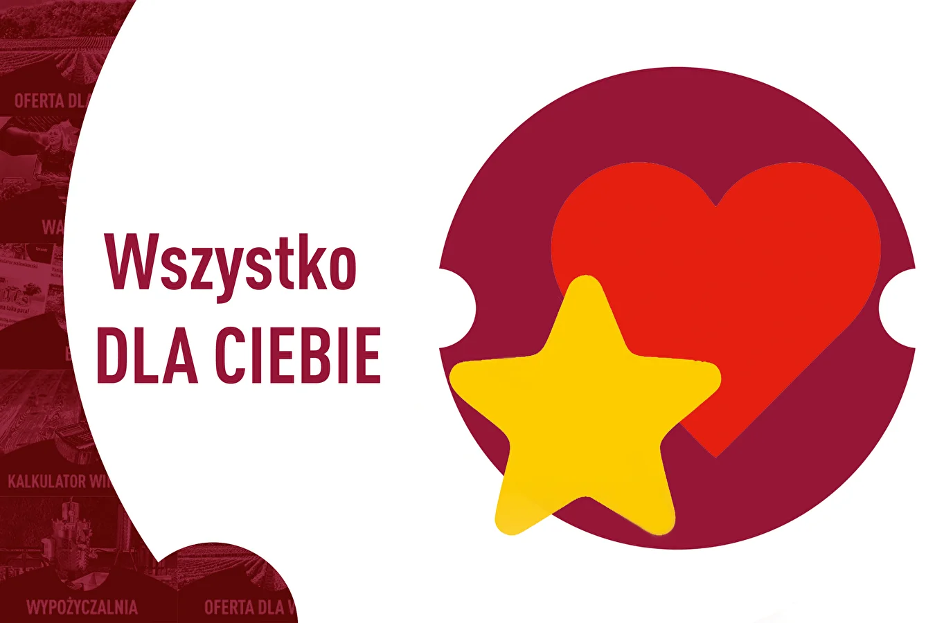 BROWIN — jesteśmy tu DLA CIEBIE