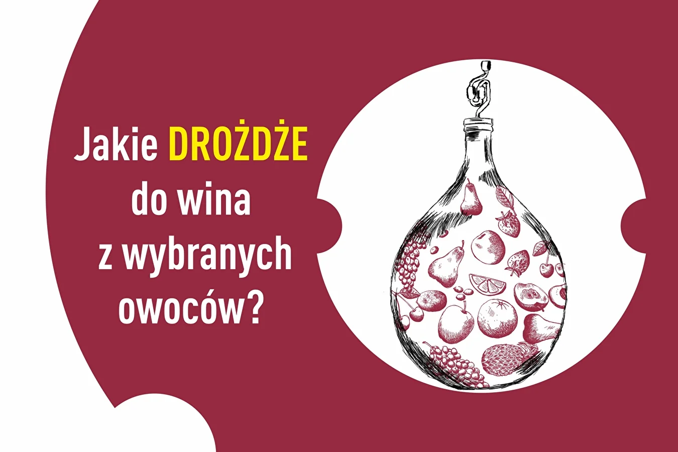 Jakie drożdże do win z poszczególnych owoców?