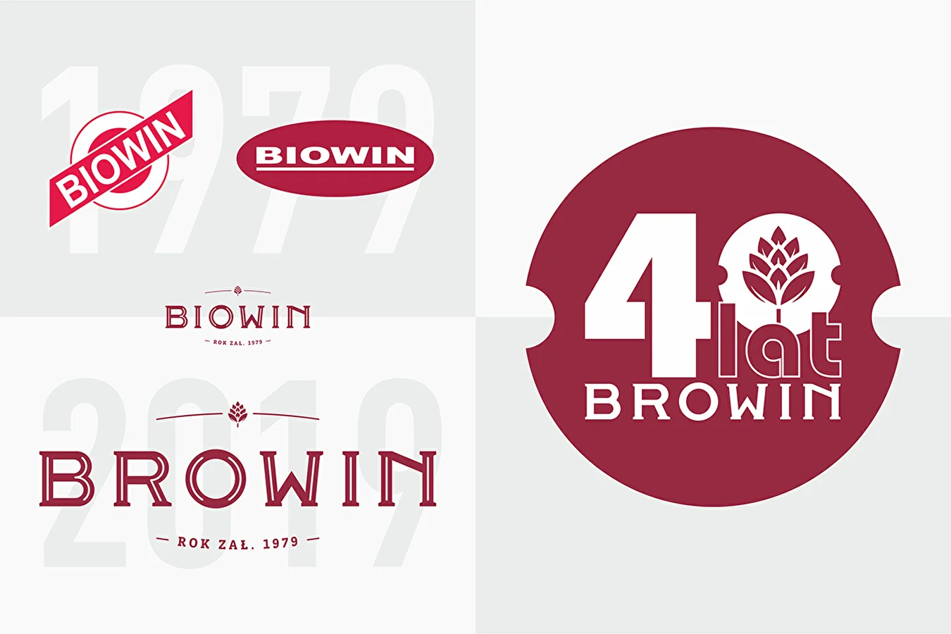 Od BIOWIN'u do BROWIN'u