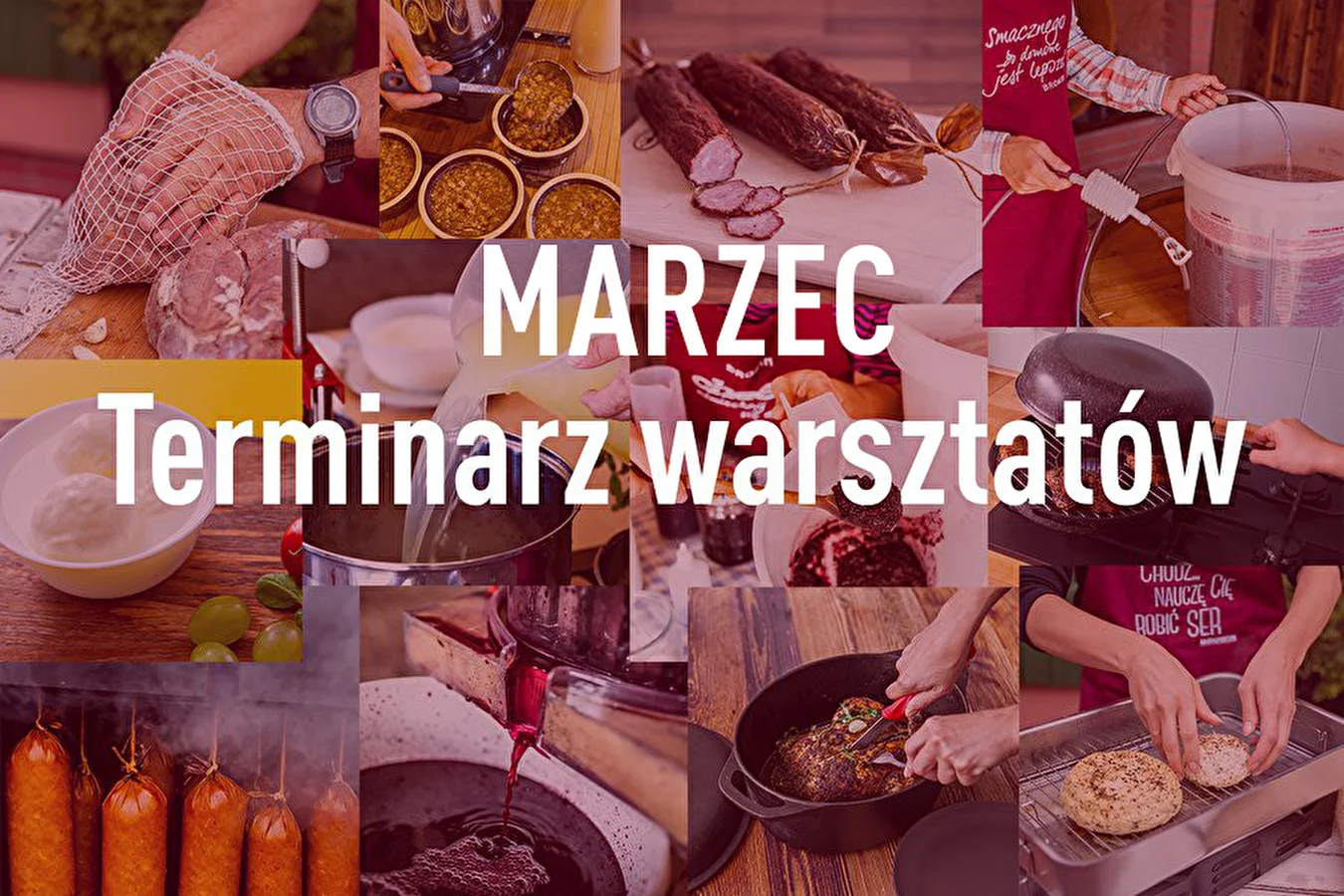 Terminarz warsztatów