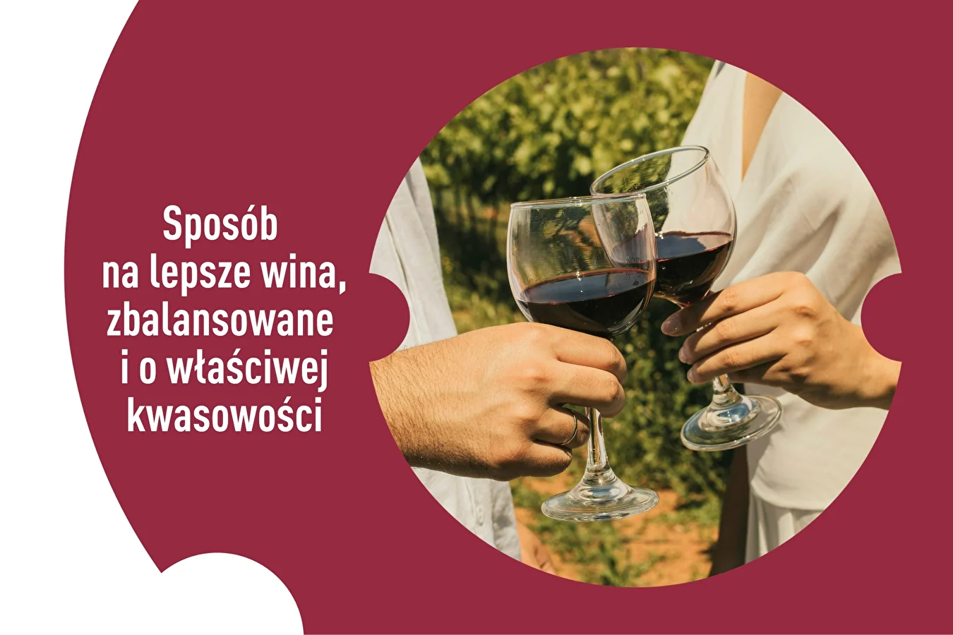 Sposób na lepsze wina, zbalansowane i o właściwej kwasowości