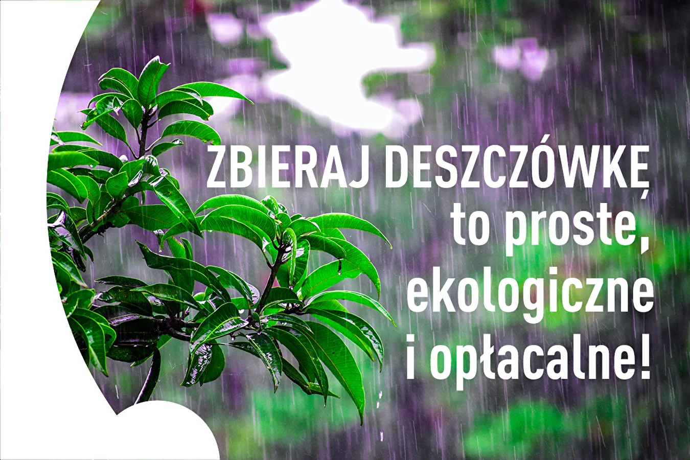 Zbieraj deszczówkę – to proste, ekologiczne i opłacalne!