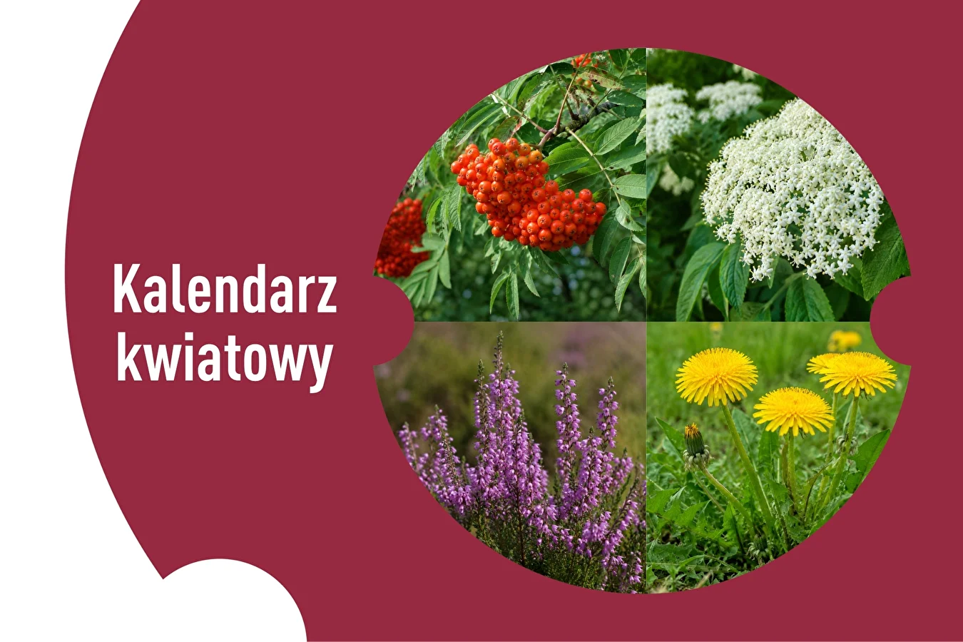 Kalendarz kwiatowy