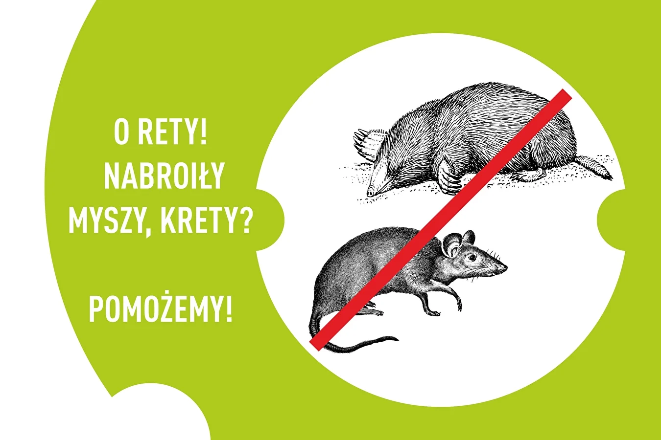 Krety, myszy, ślimaki… – jak odstraszyć szkodniki z ogrodu?