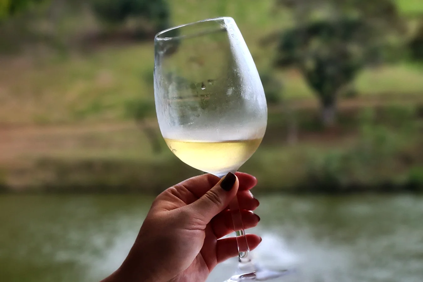 Wino lodowe