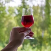 Klarowin - środek klarujący 100 g - 2 ['do klarowania win i soków', ' do win białych i różowych', ' do usuwania zmętnień', ' bentonit', ' wino domowe', ' klarowne wino']