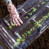 Mini szklarnia modułowa 85x41x20,5 cm - 5 ['mini szklarnia', ' klosz tunelowy', ' modułowa szklarnia', ' ochrona upraw', ' uprawa warzyw i owoców', ' wzrost roślin', ' ochrona przed szkodnikami', ' nawadnianie roślin', ' samodzielna uprawa']