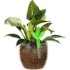 Nawadniacz do roślin – listek zielony z ceramiczną nóżką, 120 ml - 6 ['nawadniacz do roślin', ' nawadniacz', ' nawadniacz w kształcie listka', ' oryginalny nawadniacz', ' ochrona roślin', ' pielęgnowanie roślin', ' nawadniacz do kwiatów', ' listek nawadniający', ' kule nawadniające', ' kula nawadniająca', ' designerski nawadniacz', ' jak dbać o rośliny', ' ładne dodatki do domu', ' dizajnerskie nawadniacze', ' wyjątkowe kule do nawadniania', ' uniwersalny nawadniacz', ' zielony nawadniacz', ' nawadniacz do małych roślin i kwiatów doniczkowych', ' ceramiczna nóżka', ' nawadniacz ceramiczny', ' nawadniacz z ceramiczną nóżką']