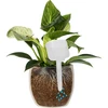 Nawadniacz do roślin – tabliczka biała, 200 ml - 6 ['nawadniacz do roślin', ' nawadniacz', ' nawadniacz w kształcie tabliczki', ' oryginalny nawadniacz', ' ochrona roślin', ' pielęgnowanie roślin', ' nawadniacz do kwiatów', ' tabliczka nawadniająca', ' kule nawadniające', ' kula nawadniająca', ' designerski nawadniacz', ' jak dbać o rośliny', ' ładne dodatki do domu', ' dizajnerskie nawadniacze', ' wyjątkowe kule do nawadniania', ' uniwersalny nawadniacz']