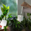 Nawadniacz do roślin - tabliczka biała z ceramiczną nóżką, 200 ml - 8 ['nawadniacz do roślin', ' nawadniacz', ' nawadniacz w kształcie tabliczki', ' oryginalny nawadniacz', ' ochrona roślin', ' pielęgnowanie roślin', ' nawadniacz do kwiatów', ' tabliczka nawadniająca', ' kule nawadniające', ' kula nawadniająca', ' designerski nawadniacz', ' jak dbać o rośliny', ' ładne dodatki do domu', ' dizajnerskie nawadniacze', ' wyjątkowe kule do nawadniania', ' uniwersalny nawadniacz', ' ceramiczna nóżka', ' nawadniacz ceramiczny', ' nawadniacz z ceramiczną nóżką']