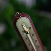 Termometr pokojowy ze złotą skalą (-10°C do +50°C) 22cm, mix - 4 ['termometr wewnętrzny', ' termometr pokojowy', ' termometr do wewnątrz', ' termometr domowy', ' termometr', ' termometr drewniany pokojowy', ' termometr czytelna skala', ' termometr srebrna skala', ' termometr złota skala', ' termometr do powieszenia', ' tradycyjny termometr']