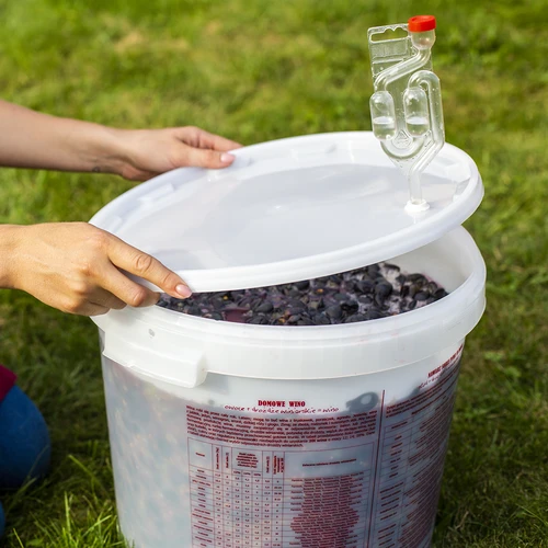 Drożdże winiarskie Burgund bez namnażania, 20 ml - 5 ['drożdże do win czerwonych', ' jakie drożdże do aroni', ' drożdże do ciemnych winogron', ' wino aroniowe', ' wino gronowe', ' bez namnażania', ' drożdże w płynie', ' drożdże winiarskie', ' domowe wino', ' wino jagodowe', ' wino z czarnego bzu']