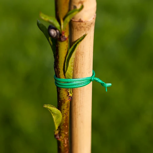 Drut ogrodniczy płaski, powlekany PCV 50m x 2mm - 2 ['drut ogrodniczy', ' zielony drut', ' cienki drut ogrodniczy', ' elastyczny drut ogrodniczy', ' drut w otulinie', ' drut PCV', ' galwanizowany drut', ' drut zielony', ' drut mocujący', ' drut napinający', ' drut naciągowy', ' drut powlekany']